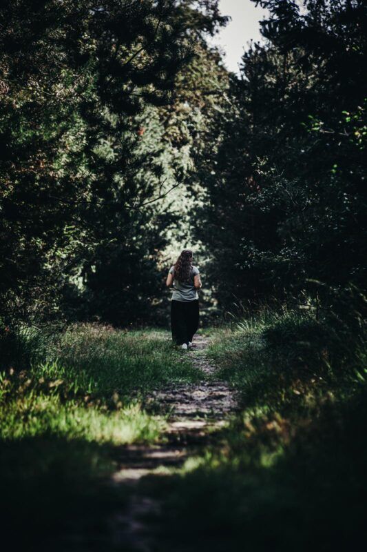 RIFLESSIONI SOTTO UN ALBERO ESTIVO