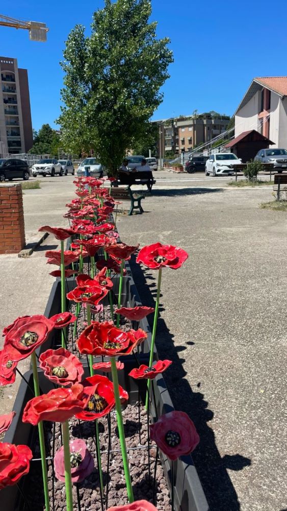 LESTRELLA POP AND THE THOUSAND RED POPPIES