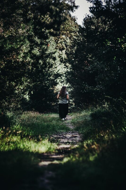 REFLECTIONS UNDER A SUMMER TREE