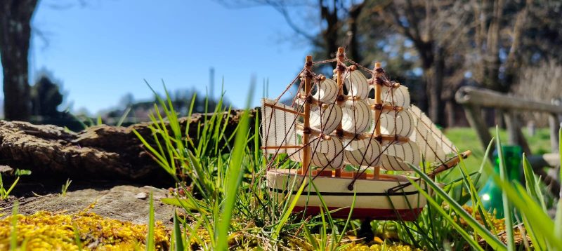 LOOKING FOR HUMANKIND