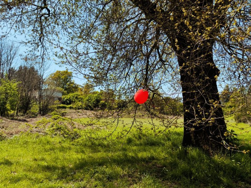 COMING BACK 2.0. ANTI-ULYSSES