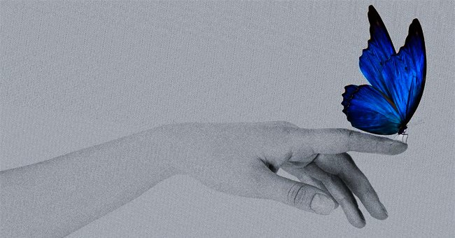 LE FARFALLE E GLI ESAMI