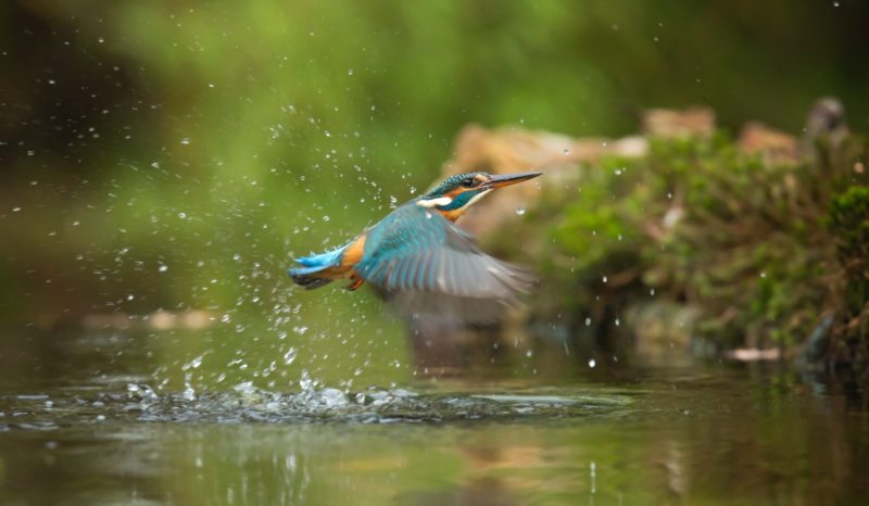 Una volta qui scorreva un fiume 