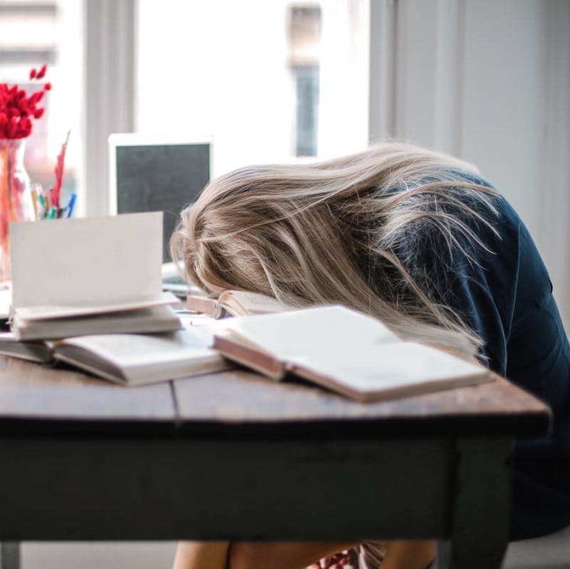 “THEY DON’T WANT TO STUDY!”